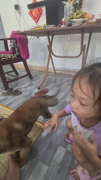 Hình ảnh Bệnh Viện Thú Y PetHealth Tuyên Quang - 3