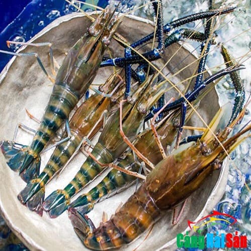 Hình ảnh Hải sản Thịnh - 5