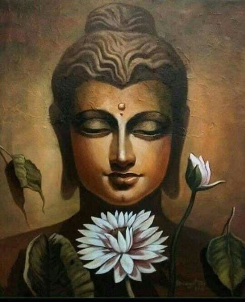 Hình ảnh Yến Sào Thuận Thông - 3