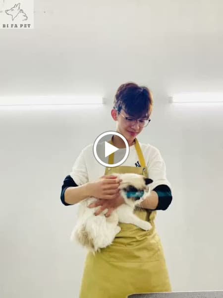 Hình ảnh Bi Family Pet - 2