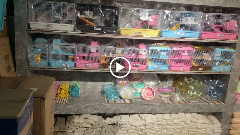 Hình ảnh HAMSTER PET STORE - 4