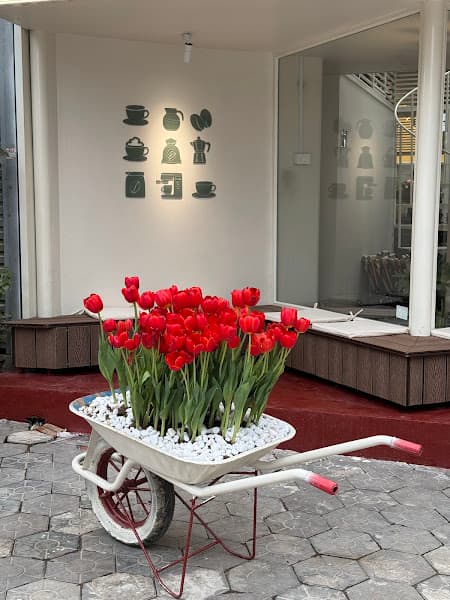 Hình ảnh Miên - 2