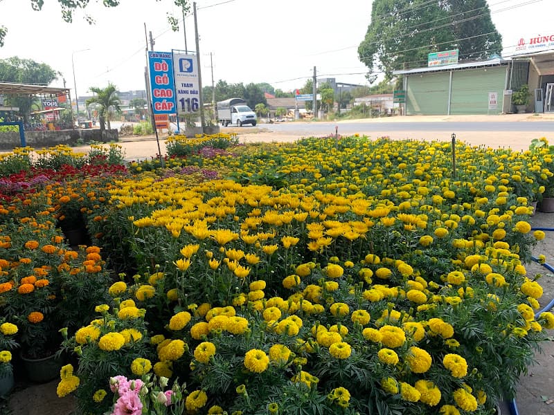 Hình ảnh Cửa hàng Xăng dầu 116 - 4