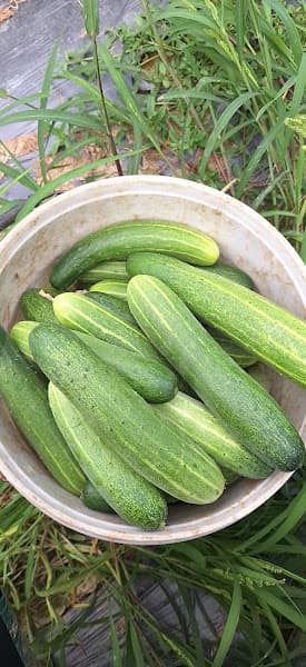 Hình ảnh Chợ Sông Hiến - 2