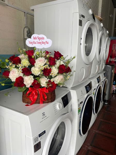 Hình ảnh Giặt Sấy Lemon - 5