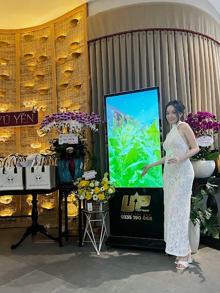 Ảnh bìa Yến sào Tây Đô Vũ Yến