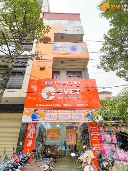 Hình ảnh Bệnh viện Thú y 2Vet Hải Dương - 9