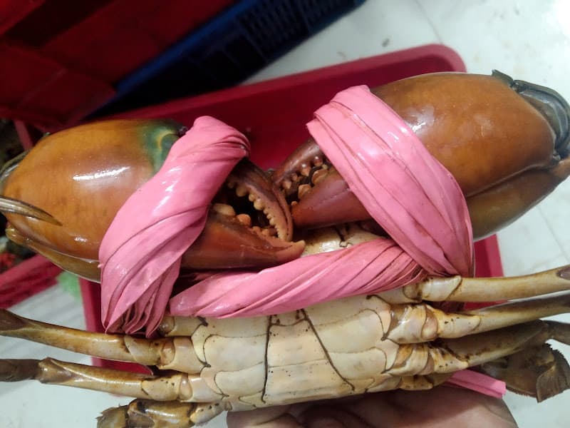 Hình ảnh Vựa Hải Sản Hoài Phương - 4