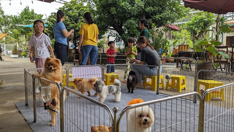 Hình ảnh KaKa - The Pets Spa & Hotel - 4