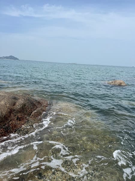 Hình ảnh Nhà hàng hải sản Đức Triêm - 3