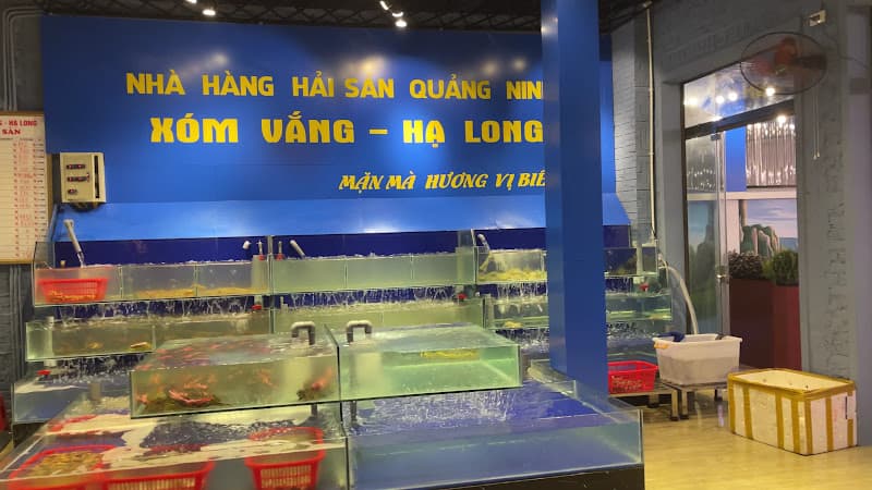 Hình ảnh HẢI SẢN XÓM VẮNG - Cs2 - BT 1.6 Nguyễn Xuân Khoát - 3