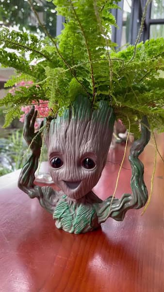 Hình ảnh Cà phê Sữa Đá - 5