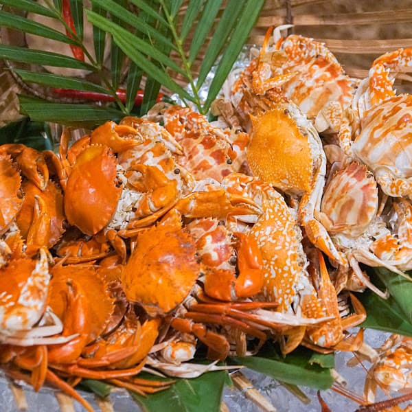 Hình ảnh Mekong Restaurant - 5