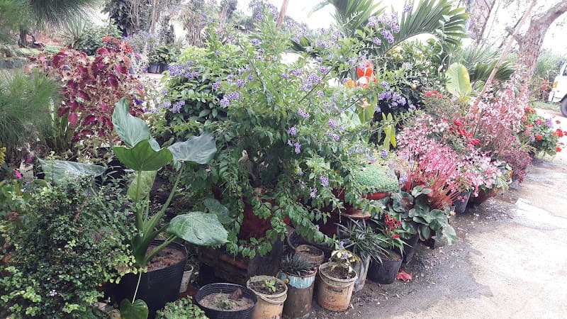 Hình ảnh Karaoke Anh Tuấn - 5