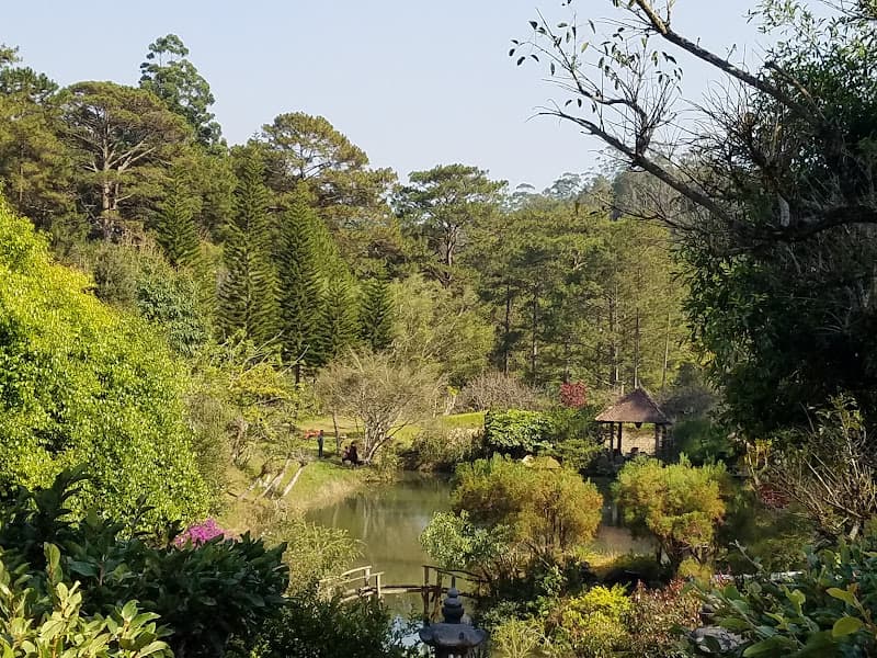 Hình ảnh Công Ty CP Du Lịch Giao Hưởng Xanh - Rừng Giao Hưởng - 4