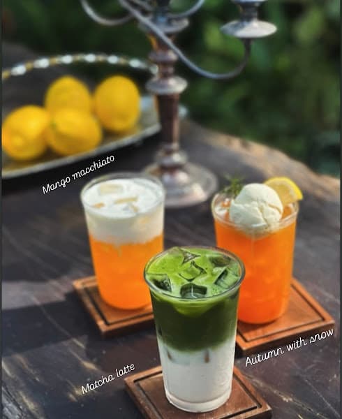 Hình ảnh Wild House Coffee & Beer ( Quán Ăn Ẩm Thực Gia Đình ) - 3