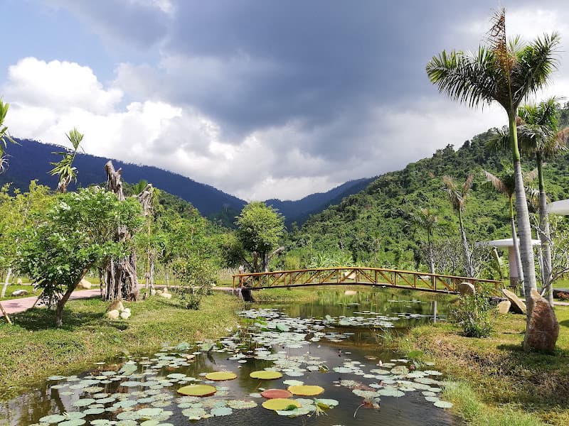 Hình ảnh Khu Bảo tồn Thiên nhiên Hòn Bà - 5