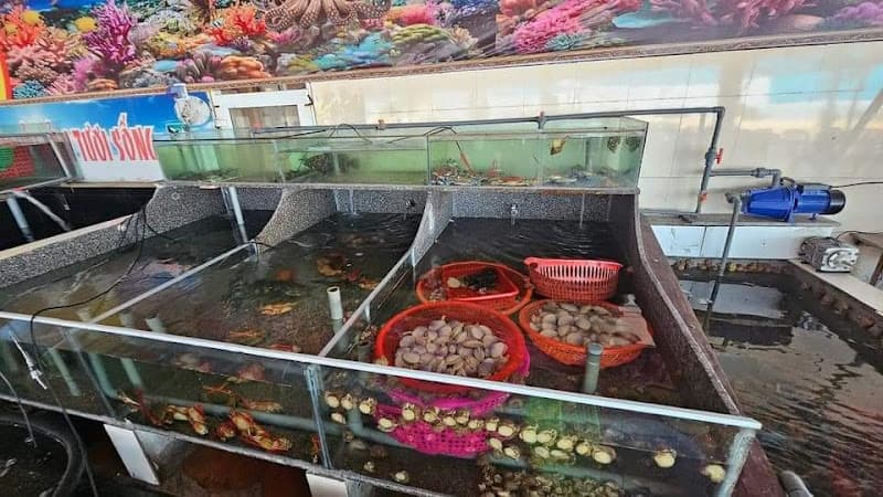 Hình ảnh Nhà hàng Trường Thúy hải sản Thiên Cầm - địa chỉ thưởng thức hải sản uy tín ngon chất lượng giá bình dân tại Thiên Cầm - 4