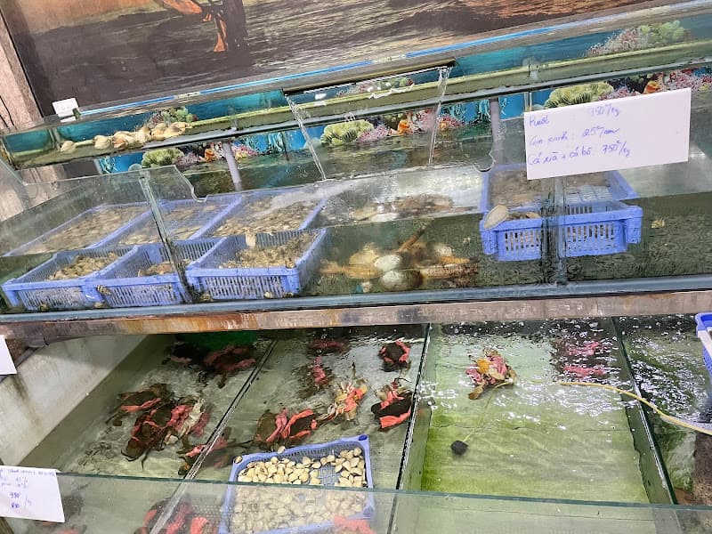 Hình ảnh Hải Sản Dạ Biển - 7