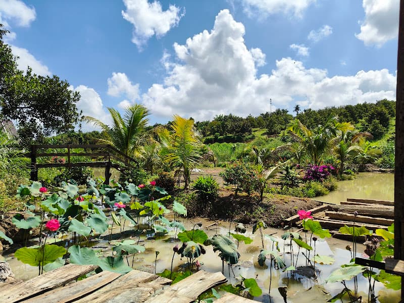 Hình ảnh Campingstar - 5