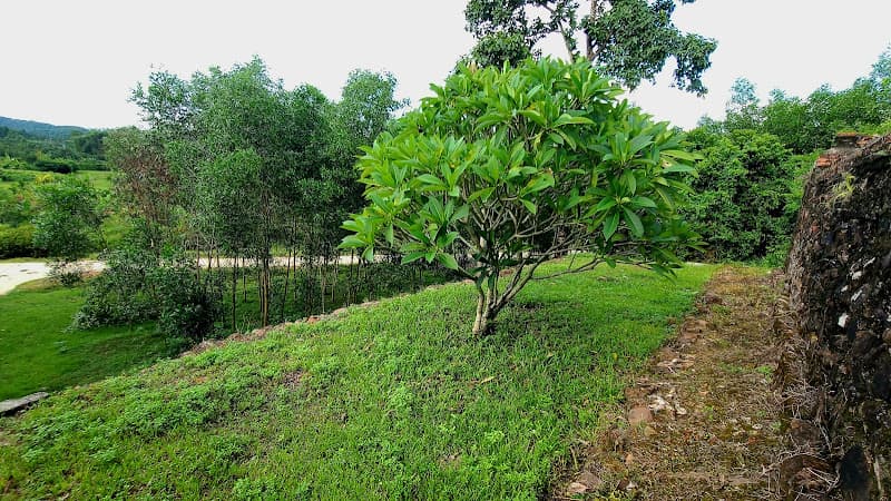 Hình ảnh Lăng Trường Thái - Chúa Nguyễn Phúc Khoát - 5