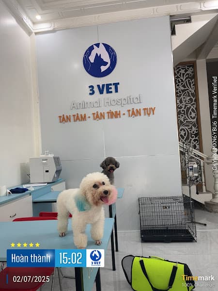 Hình ảnh Bệnh Viện Thú Y 3 Vet - 3
