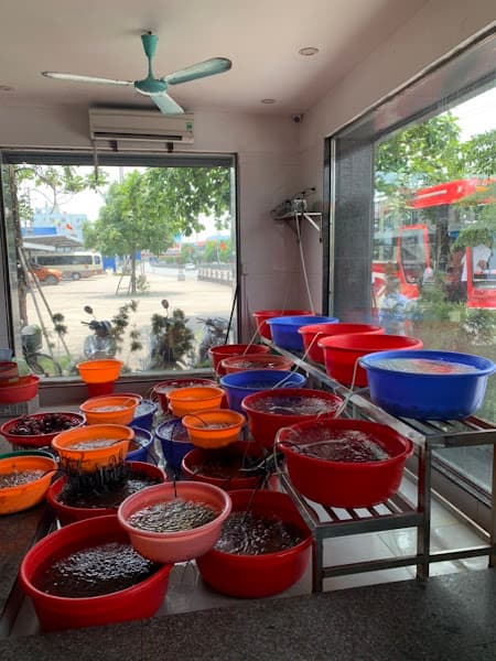 Hình ảnh Nhà hàng Quảng Hiền - 3