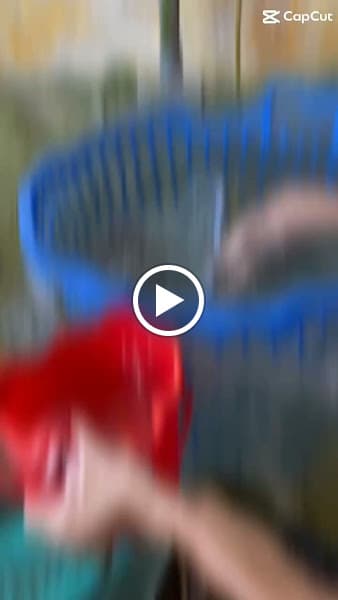 Hình ảnh Quán Hải Sản Cô Liền - 5