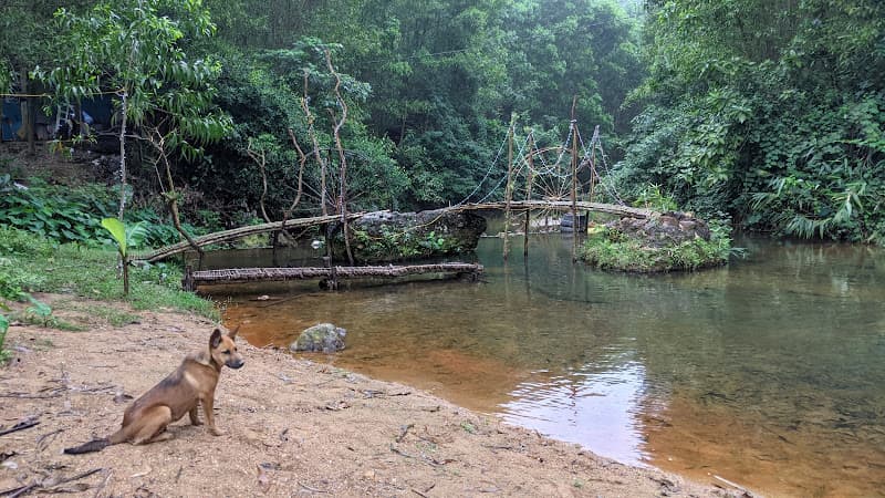 Hình ảnh Phan Gia Trang - 6