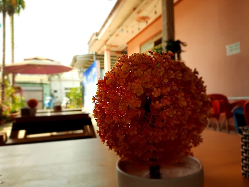 BoBa Trà Sữa Lâm Hà