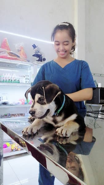 Hình ảnh Bệnh Viện Thú Y Bảo Minh Châu - 2