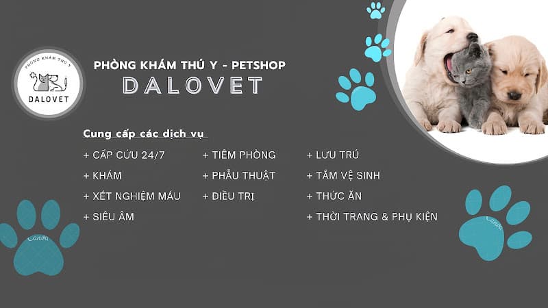 Ảnh bìa Phòng khám thú y Dalovet Đà Lạt