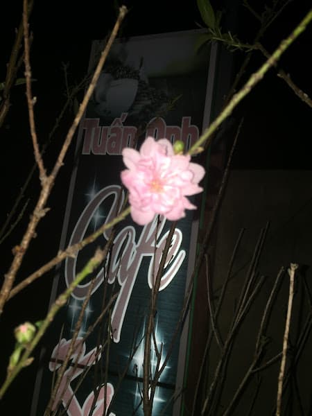 Hình ảnh Karaoke Tuấn Anh - 3