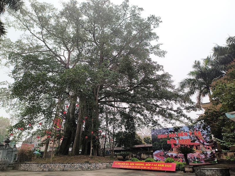 Hình ảnh Đền Ỷ La - 3