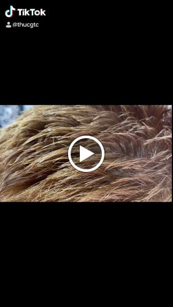 Hình ảnh Thực G-TC Barbershop - 2