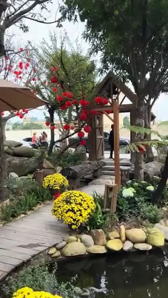 Hình ảnh Khu Rừng Nhỏ Cafe - Little Forest - 5