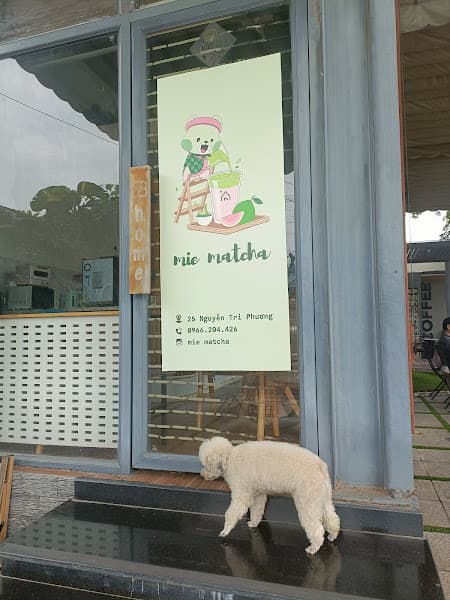 Hình ảnh Mie Matcha - 3