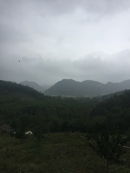 Hình ảnh Hang Con Moong - 3