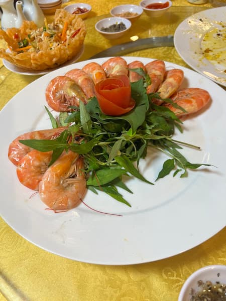 Hình ảnh NAI VÀNG NEW - 3