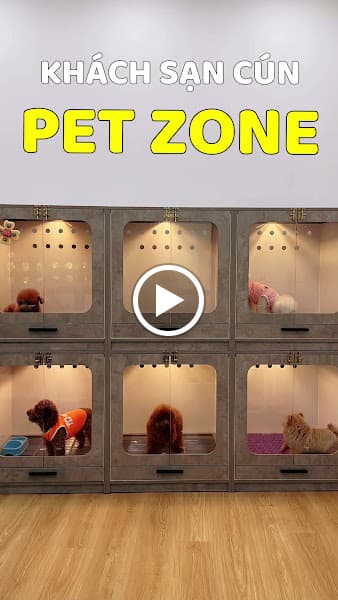 Hình ảnh Pet Zone - Pet Shop, Spa, Khách Sạn Thú Cưng - 3