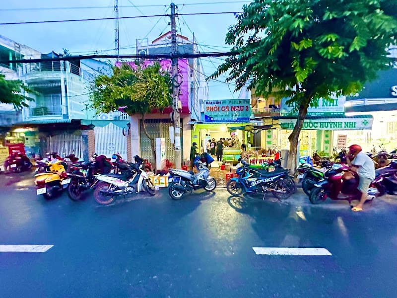 Hình ảnh Phôi Cà Mau 2 - 4
