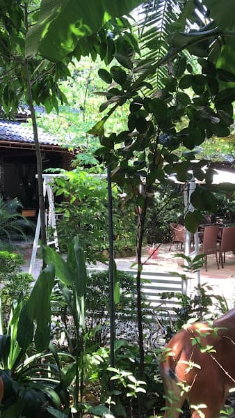 Hình ảnh Trang Hoa Viên Coffee - 5