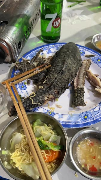 Hình ảnh Lẩu Cá Lau Kiếng Quán Ba Nhã - 3