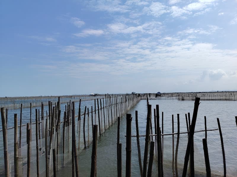 Hình ảnh Chuồn Lagoon quán - 2