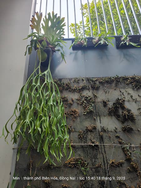 Hình ảnh Thú Y Lucky Pet - 2