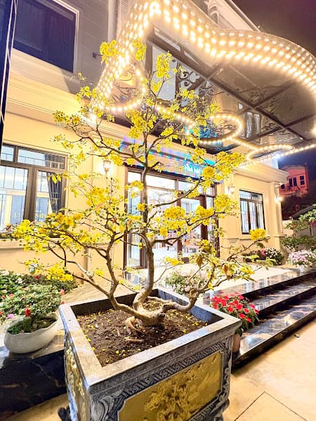 Hình ảnh NHÀ HÀNG LÝ THÀNH 1 - 3