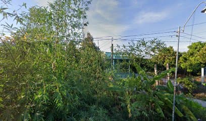 Ảnh bìa Phòng Khám Thú Y SIRO PET