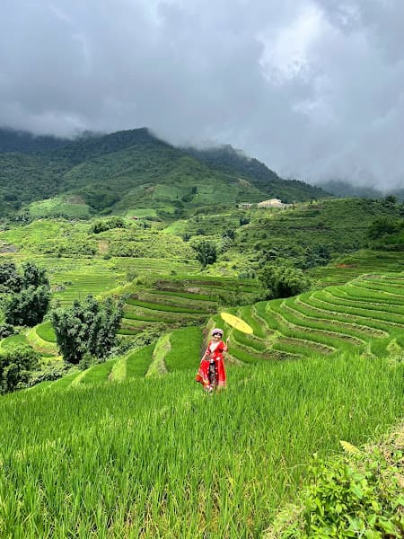 Hình ảnh Ngũ Chỉ Sơn Trekking Sapa - 4