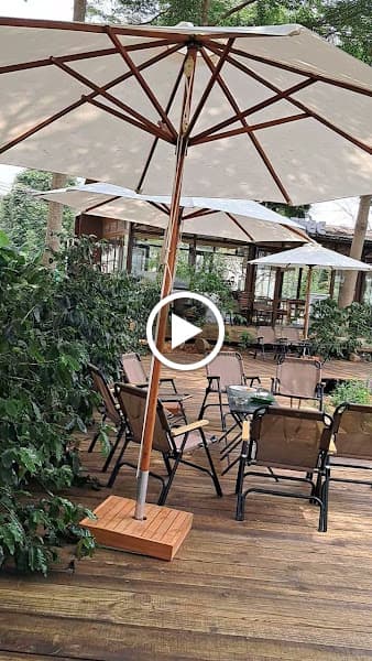 Hình ảnh Trang Trại Aeroco Coffee - 3