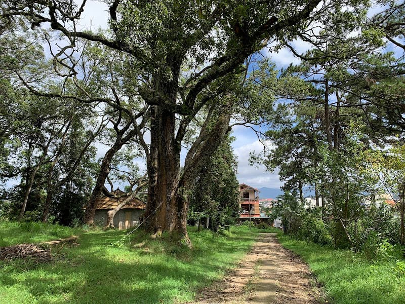 Hình ảnh Dinh Tỉnh Trưởng - 3